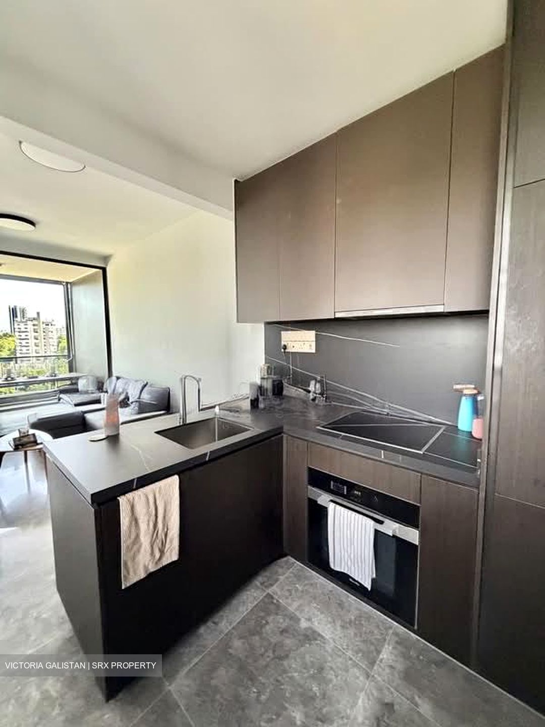 Hyll On Holland (D10), Condominium #547290261